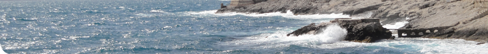 La Pinède La Pinède